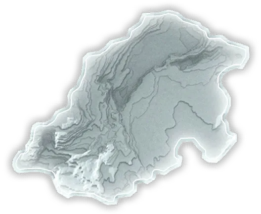 Anchored Image 1